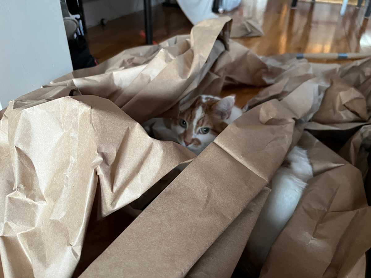 Charlie is barely visible among all this paper.